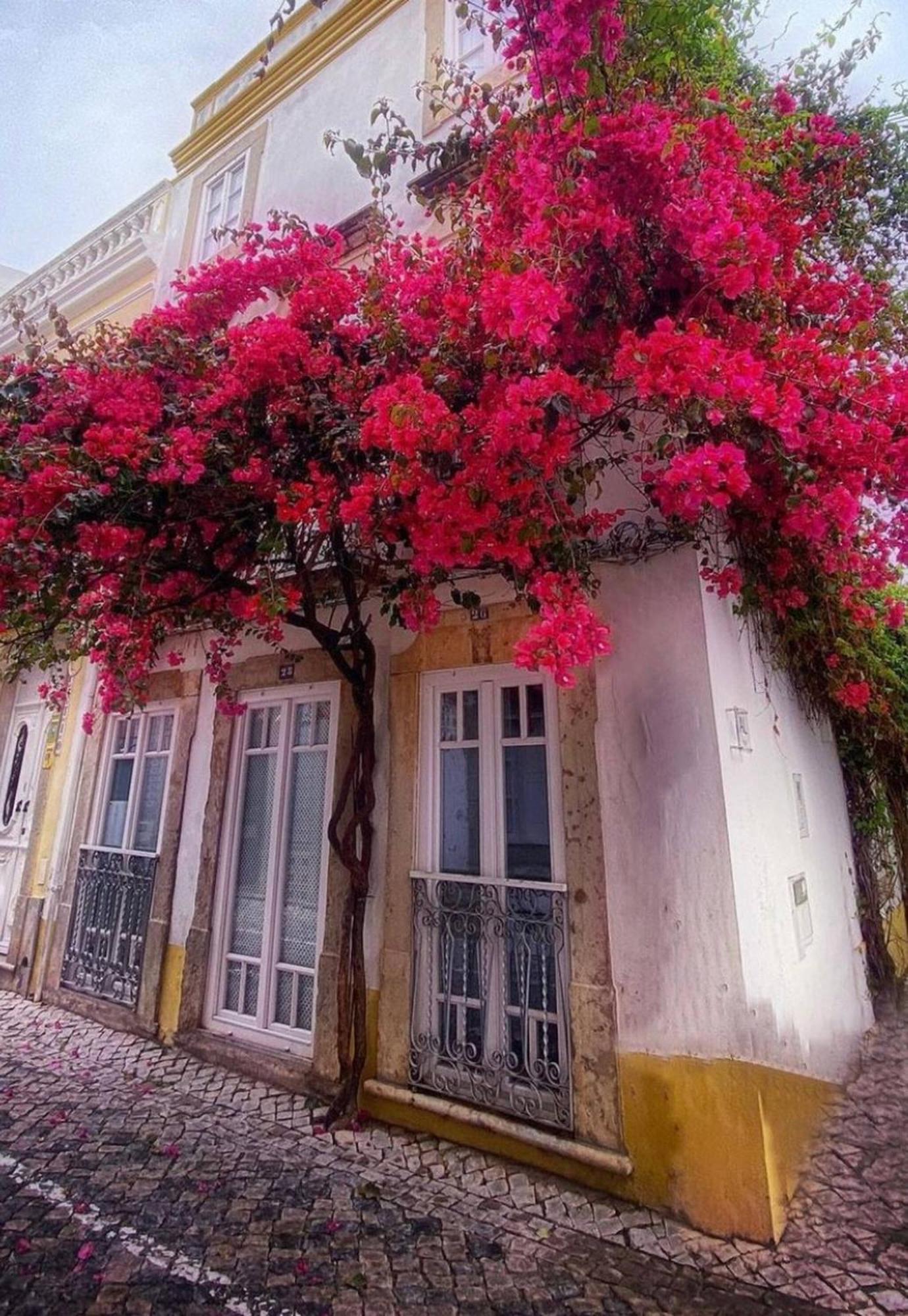 Chic Suite Sequa In Taviras Historical Centre Esterno foto